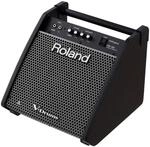 Roland PM-100 Personal Drum Monitor, 80 Watt