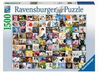 Ravensburger Puzzle 16235 - 99 Katzen - 1500 Teile Puzzle für Erwachsene und...