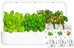 Click and Grow Indoor Garten, einfacher als Hydroponisches anzuchtsystem, Smart