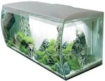 Fluval Flex Aquarium 123L, S&uuml;&szlig;wasser Aquarium, wei&szlig;