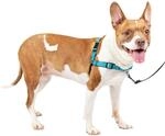 PetSafe Easy Walk Deluxe Geschirr, Gehgeschirr ohne Zug f&uuml;r Hunde, gepolstertes