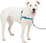 PetSafe Easy Walk Deluxe Geschirr, Gehgeschirr ohne Zug f&uuml;r Hunde, gepolstertes