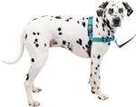 PetSafe Easy Walk Deluxe-Geschirr, rei&szlig;festes Gehgeschirr f&uuml;r Hunde, gepolstertes