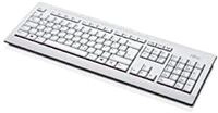 Fujitsu Keyboard KB521 CZ/US KB521 USB CZ US Standard Keyboard Czech USA Marble Grey