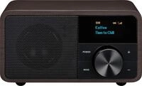 SANGEAN DDR-7 &ndash; Kompaktes Retro DAB-Radio mit Bluetooth Lautsprecher, FM-Empfang,