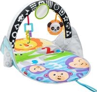 Mattel Fisher-Price FXC14 Fisher-Price Safari Spieldecke to go, Mehrfarbig