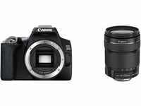 Canon EOS 250D Digitalkamera - mit Objektiv EF-S 18-135mm F3.5-5.6 IS STM (24, 1