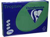Clairefontaine Trophee Papier Tannengrün 120g/1224C A4 120 g Inh.250
