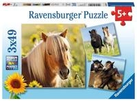 Ravensburger Puzzle Liebe Pferde - 3x49 Teile Puzzle ab 5 Jahre