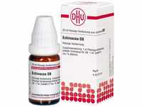 DHU Echinacea HAB D8 Dilution, 20 ml Lösung