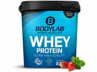 Bodylab24 Whey Protein Pulver, Erdbeere, 2kg