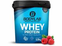 Bodylab24 Whey Protein Pulver, Himbeer-Joghurt, 1kg
