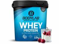 Bodylab24 Whey Protein Pulver, Kirsch-Joghurt, 1kg