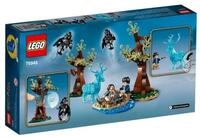 LEGO 75945 Harry Potter Expecto Patronum Set mit 4 Minifiguren und Patronus