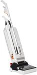 SEBO EVOLUTION 320 Profi-B&uuml;rstsauger 890 Watt Arbeitsbreite 30 cm