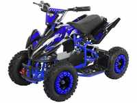 Actionbikes Motors Kinder Elektro Miniquad ATV Racer 1000 Watt 36 Volt -