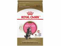 Royal Canin Kitten Maine Coon, 1er Pack (1 x 2 kg)
