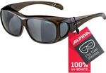 ALPINA OVERVIEW - Verzerrungsfreie und Bruchsichere Sonnenbrille f&uuml;r Brillentr&auml;ger,
