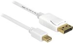 Delock 83485 CABLE DISPLAYPORT - MINI DISPLAYPORT 7 M BLANCO