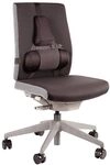 Fellowes R&uuml;ckenst&uuml;tze Professional Series - 4-teiliges Memory Foam Kissen f&uuml;r