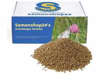 Samenshop24® Rotklee (Gründünger), Inhalt 1kg für 280m², Stickstoffsammler,