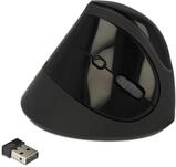 Delock 12599 Ergonomische USB Maus vertikal - kabellos, schwarz