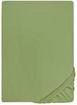 biberna Feinjersey Spannbettlaken 180x200-200x200 cm gr&uuml;n | 100% Baumwolle