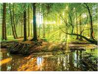 Forwall Fototapete 3D EFFEKT Wald Sonne Bach grün Natur Bäume Landschaft...