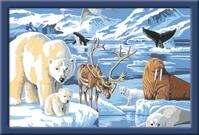 Ravensburger CreArt 28909 - Tiere der Arktis - Malen nach Zahlen f&uuml;r Kinder ab 11