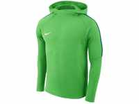 Nike Herren Academy18 Hoodie Kapuzensweatshirt, Grün (green spark/White/361), Gr. M
