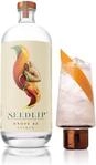 Seedlip 42, erfrischend-alkoholfreie Gin-Alternative, mit Orangengeschmack,