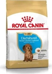Royal Canin Breed Health Nutrition Dachshund Junior 1,5 kg, Grundpreis: &euro; 11,62