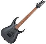 Ibanez Standard RGA42FM-TGF Transparent Gray Flat - Ibanez E-Gitarre