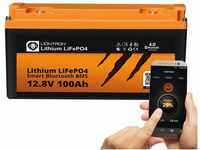LIONTRON LiFePO4 12,8V 100Ah LX; 1280Wh; > 3000 Zyklen bei 90% Entladungstiefe...