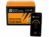 Liontron Lithium LiFePo4 Akku 14,5 kg 12.8V 100Ah + Victron Ladebooster 12-30A