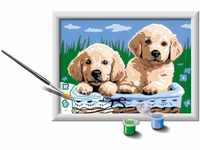 Ravensburger 28931 Paint by Numbers CreArt Serie und Hunde Retriever kreatives...