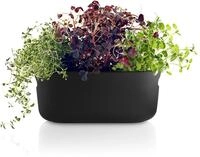 EVA SOLO | Selbstbew&auml;ssernder Herb-Organiser Black | Verhilft Kr&auml;utern zu einem
