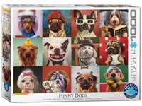 Eurographics 1000 Teile - Lustige Hunde von Lucia Heffernan, 48x68cm