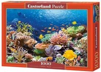 Castorland C-101511-2 - Puzzle Korallenriff 1000 Teile