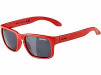 ALPINA MITZO - Verzerrungsfreie und Bruchsichere Sonnenbrille Mit 100% UV-Schutz Für