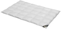 Spessarttraum Daunendecke 200x220 cm Ganzjahr normal | 100% G&auml;nsedaunen | 980g