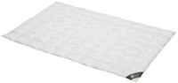 Spessarttraum Daunendecke 155x220 cm Sommer extra leicht | 100% G&auml;nsedaunen | 300g