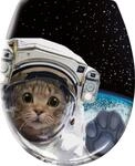 Cosmo Cat Multicolor