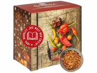 Corasol Premium Chili Adventskalender mit 24 geschroteten Chilisorten mit bis...