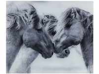 WENKO Glasrückwand Horses, Spritzschutz für Herd oder Spüle, Wandblende mit