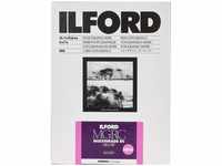 Ilford 1x100 MG RC DL 1M 13x18