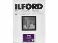 Ilford-Papier, Multigrade, 44 m, 17,8 x 24 cm, 100 Blatt