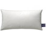 Billerbeck Kopfkissen 306 NENA&reg; | 3-Kammer-Kissen 40 x 80 cm - 3-Kammer Kissen 