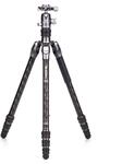 Benro Carbon Fibre Zero Series Tripod/Monopod with VX20 Ballhead, 5 Leg Sections,