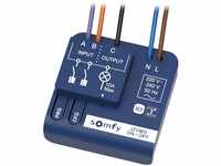 Somfy 1822649 - Izymo Licht-Empfänger io AN/AUS | TaHoma (Switch) kompatibel